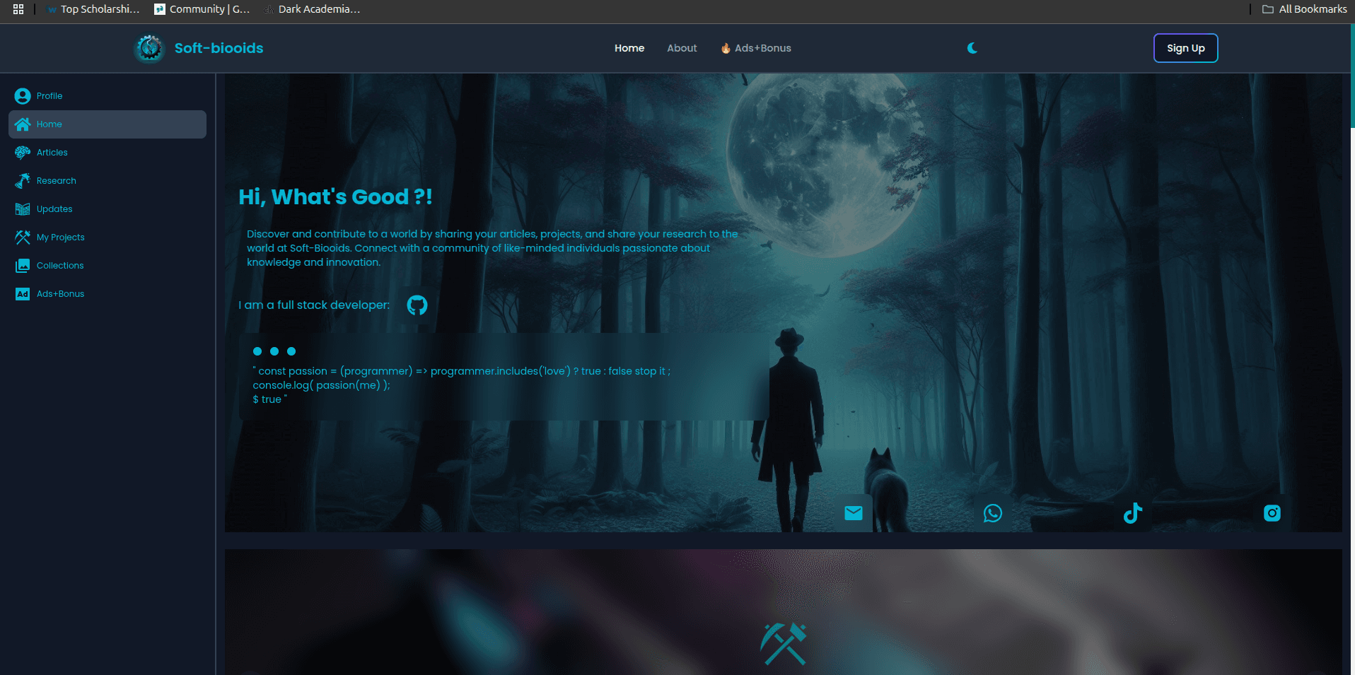 my second portfolio